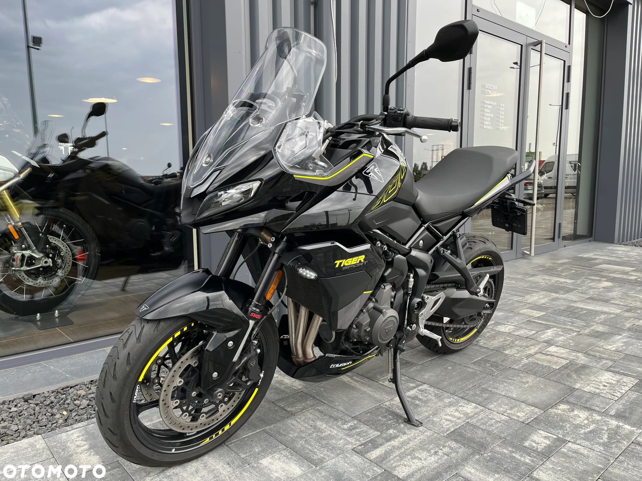 Triumph Tiger - 1