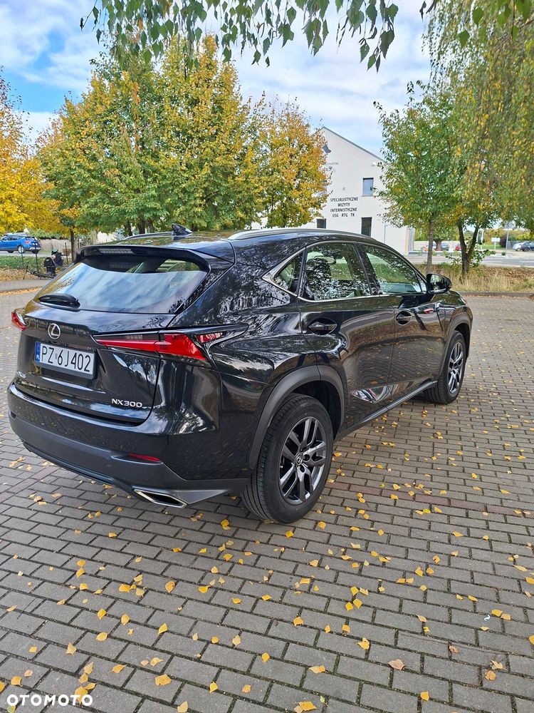 Lexus NX - 4