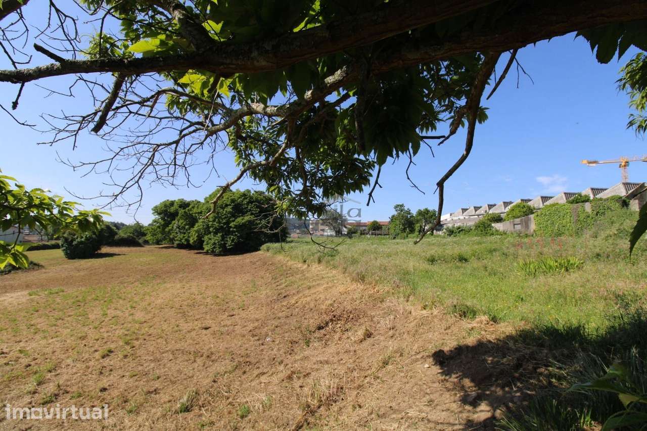 Terreno com 7.813 m² no Centro de Oliveira do Douro | Vila Nova de ... - Grande imagem: 3/30
