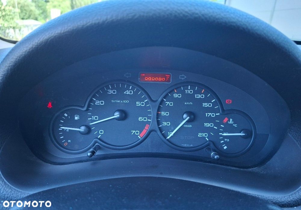 Peugeot 206 - 18