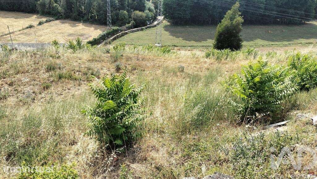 Terreno para construção em Vila Real - Grande imagem: 4/26