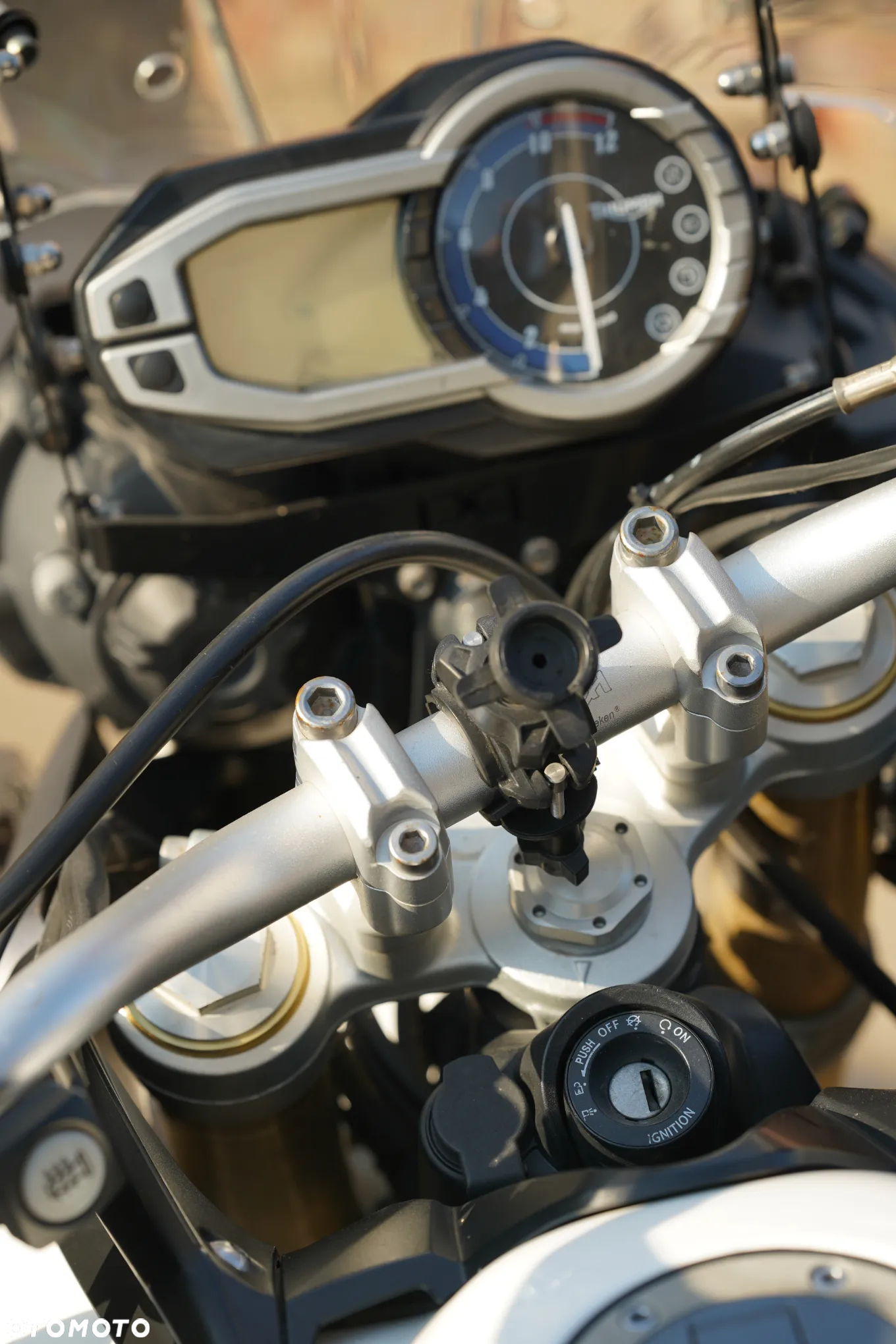 Triumph Tiger - 20