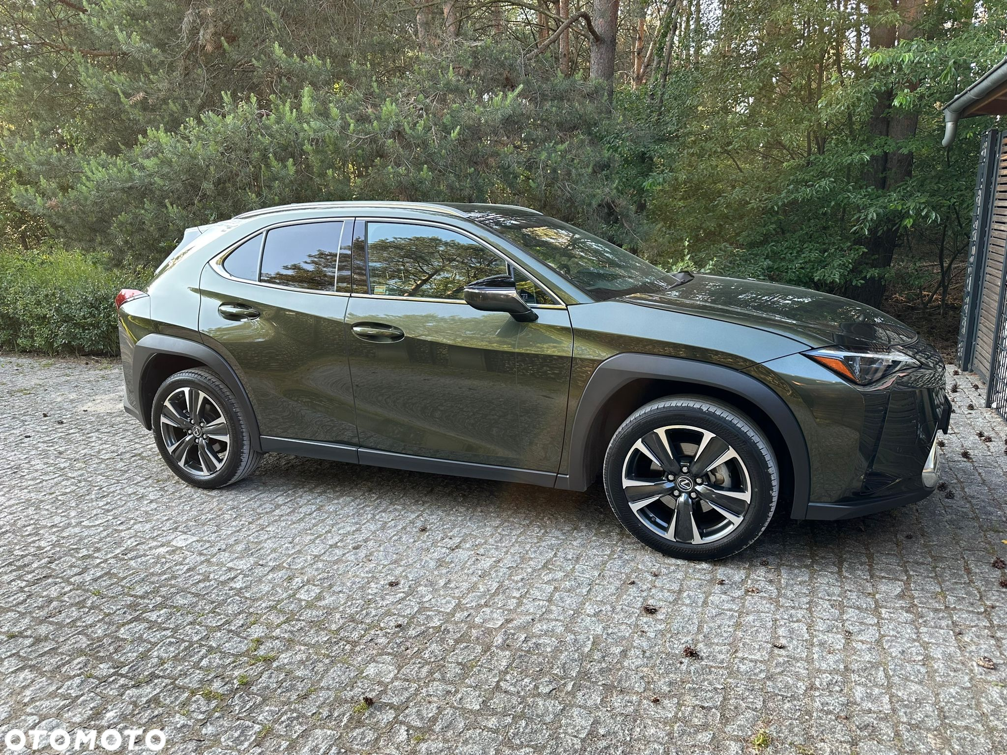 Lexus UX 250h GPF Business Edition 2WD - 2