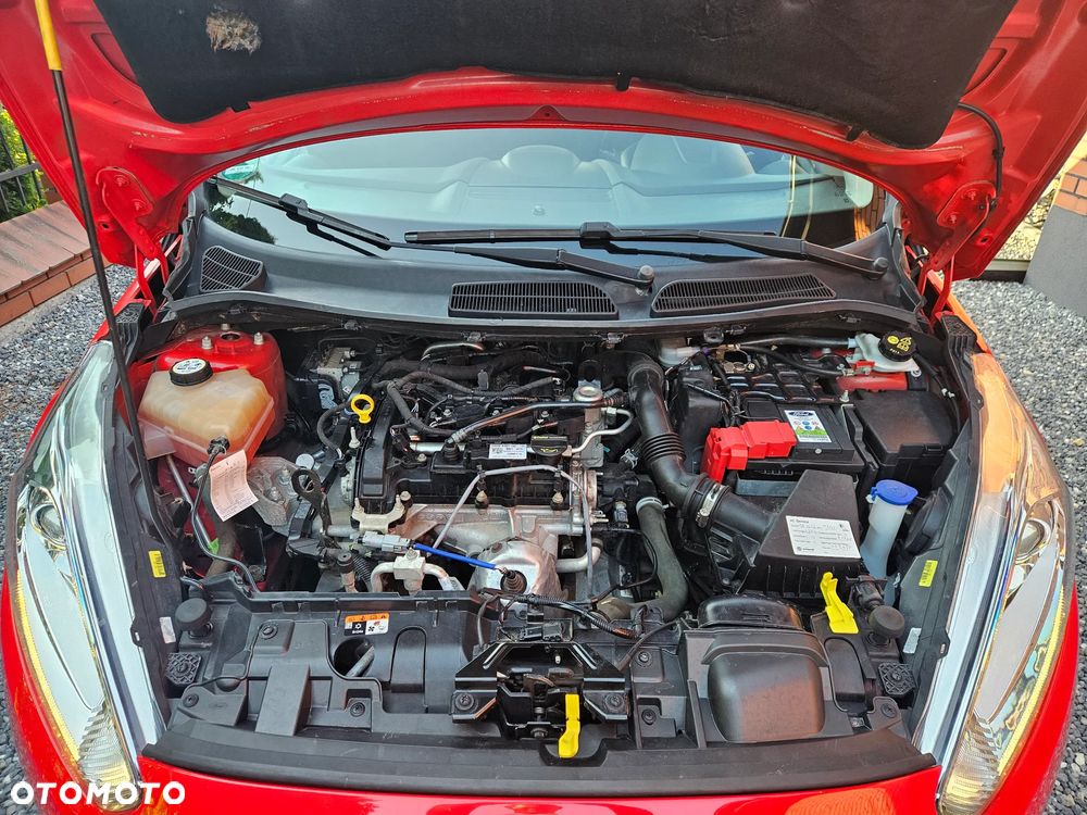 Ford Fiesta - 15