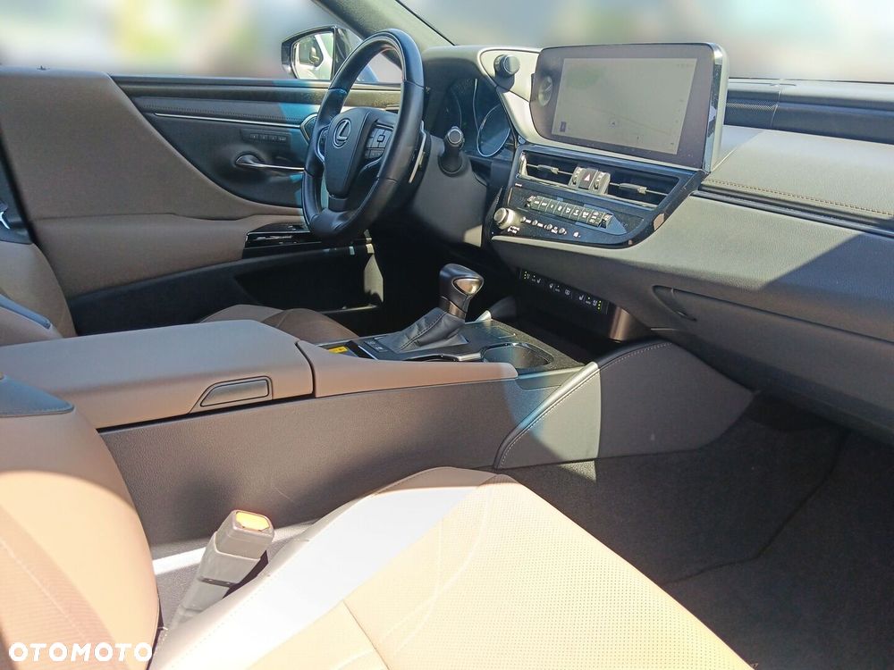 Lexus ES 300h Omotenashi - 10