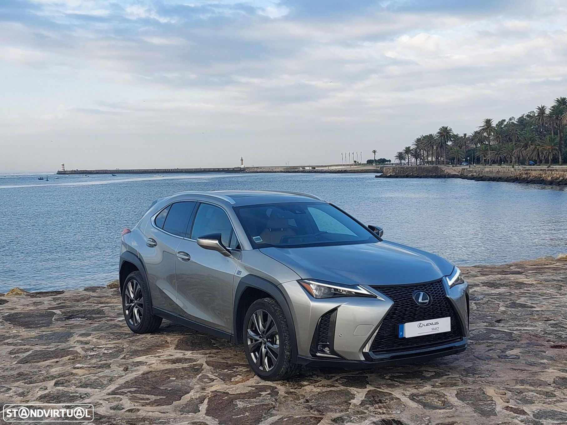 Lexus ux-250h - 8