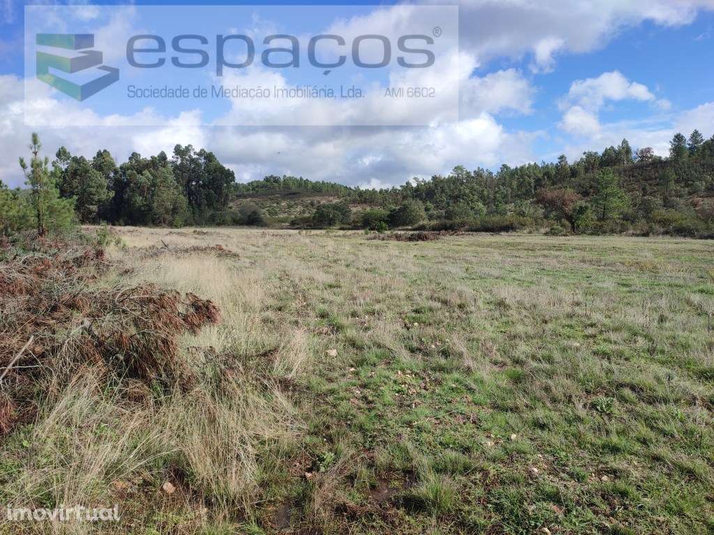 Terreno rústico a confinar com pequeno ribeiro - Sarzedas - Grande imagem: 2/17