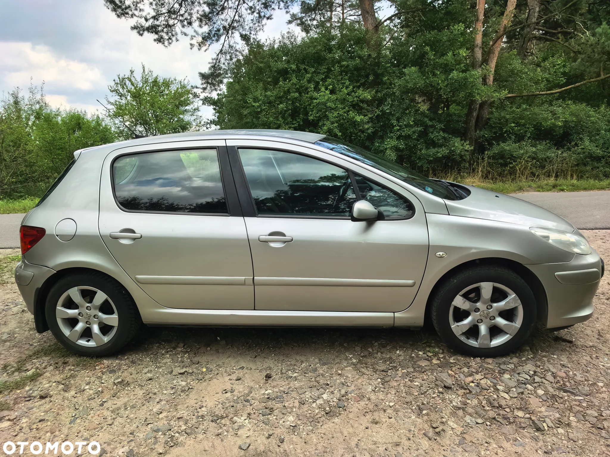 Peugeot 307 1.6 Oxygene - 17