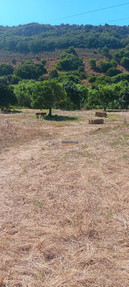 Terreno Bensafrim - Grande imagem: 2/11