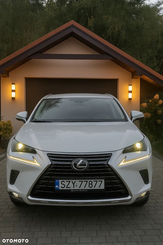Lexus NX 300h Elegance + Business AWD - 1