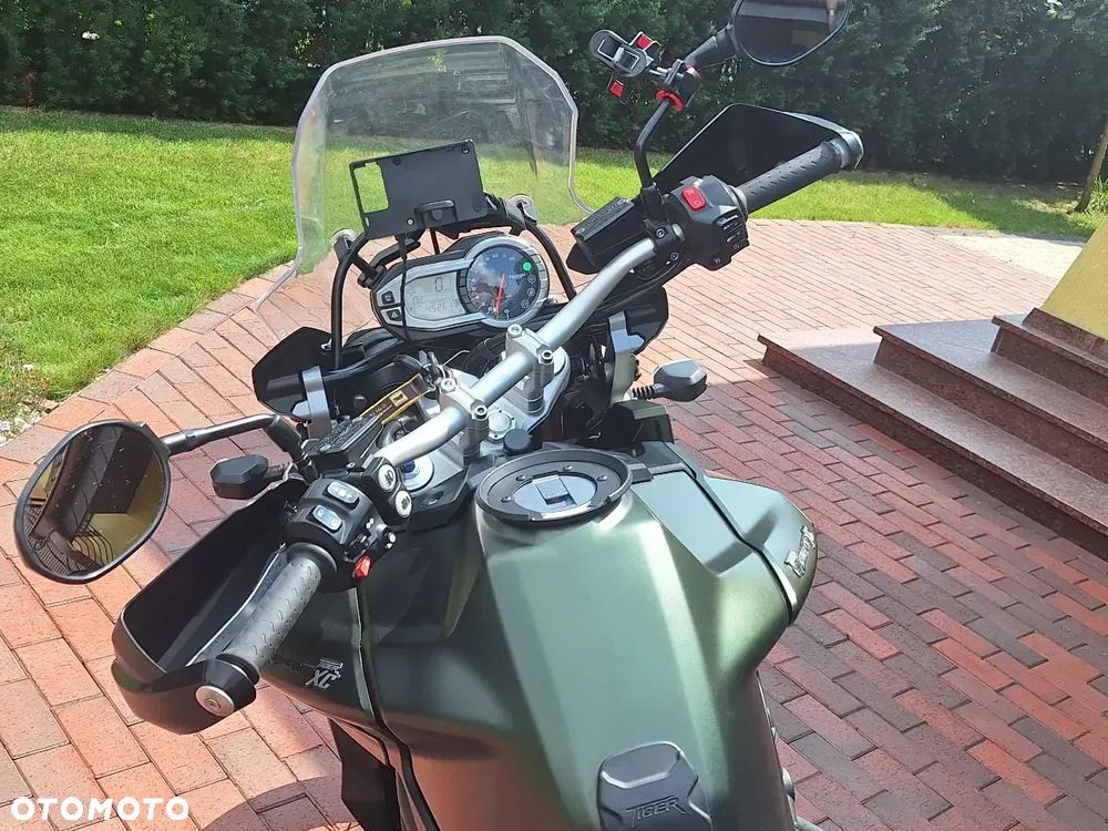 Triumph Tiger - 13