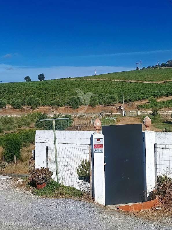 Quinta de 10.500 m² com Moradia T3, Piscina e Garagem | Alentejo I... - Grande imagem: 2/40