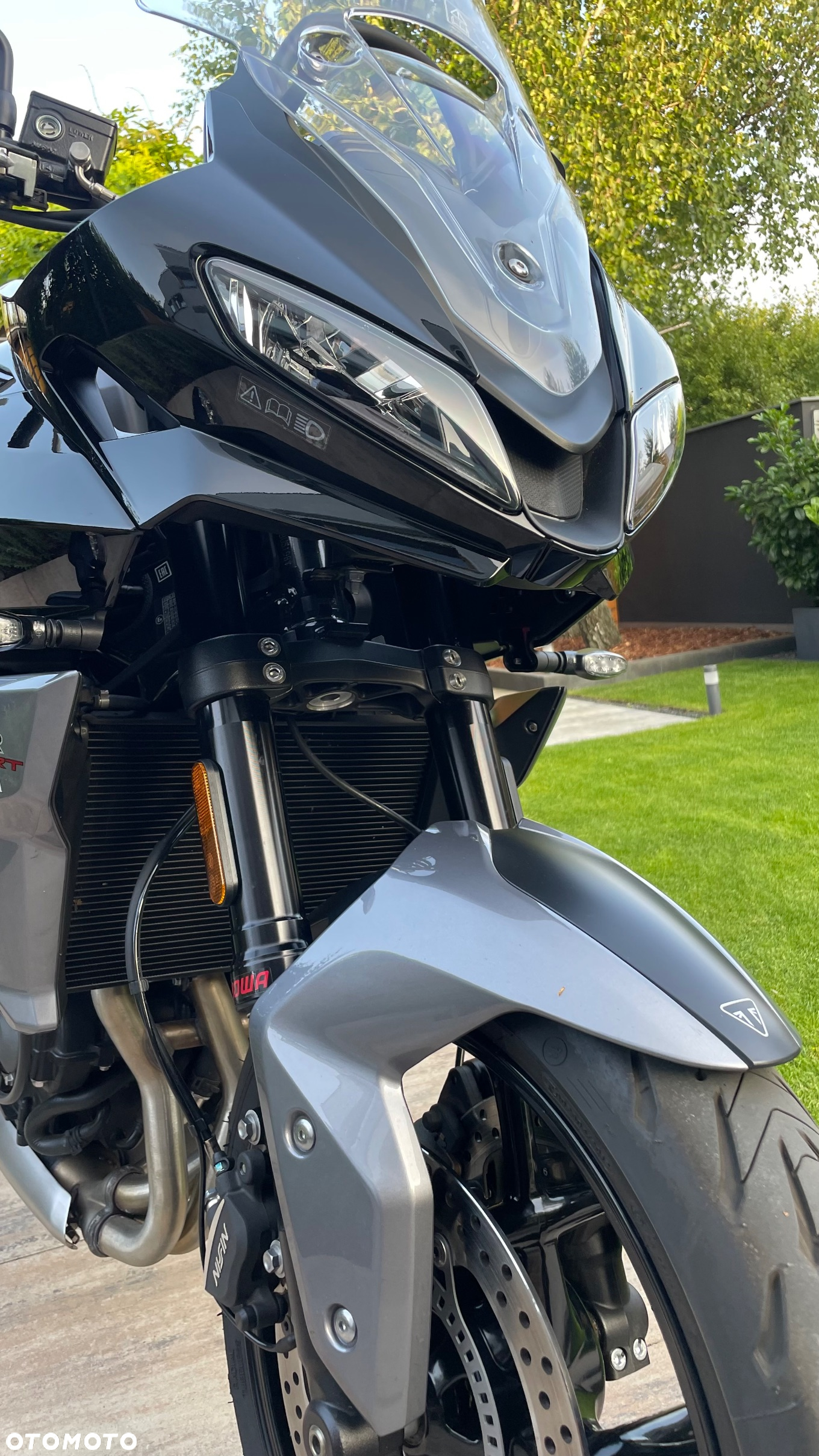 Triumph Tiger - 2