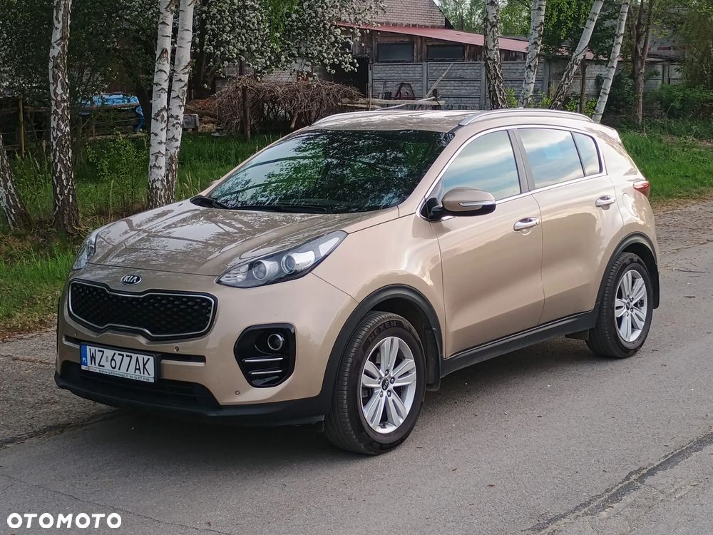 Kia Sportage 1.6 GDI L Business Line Plus 2WD - 2