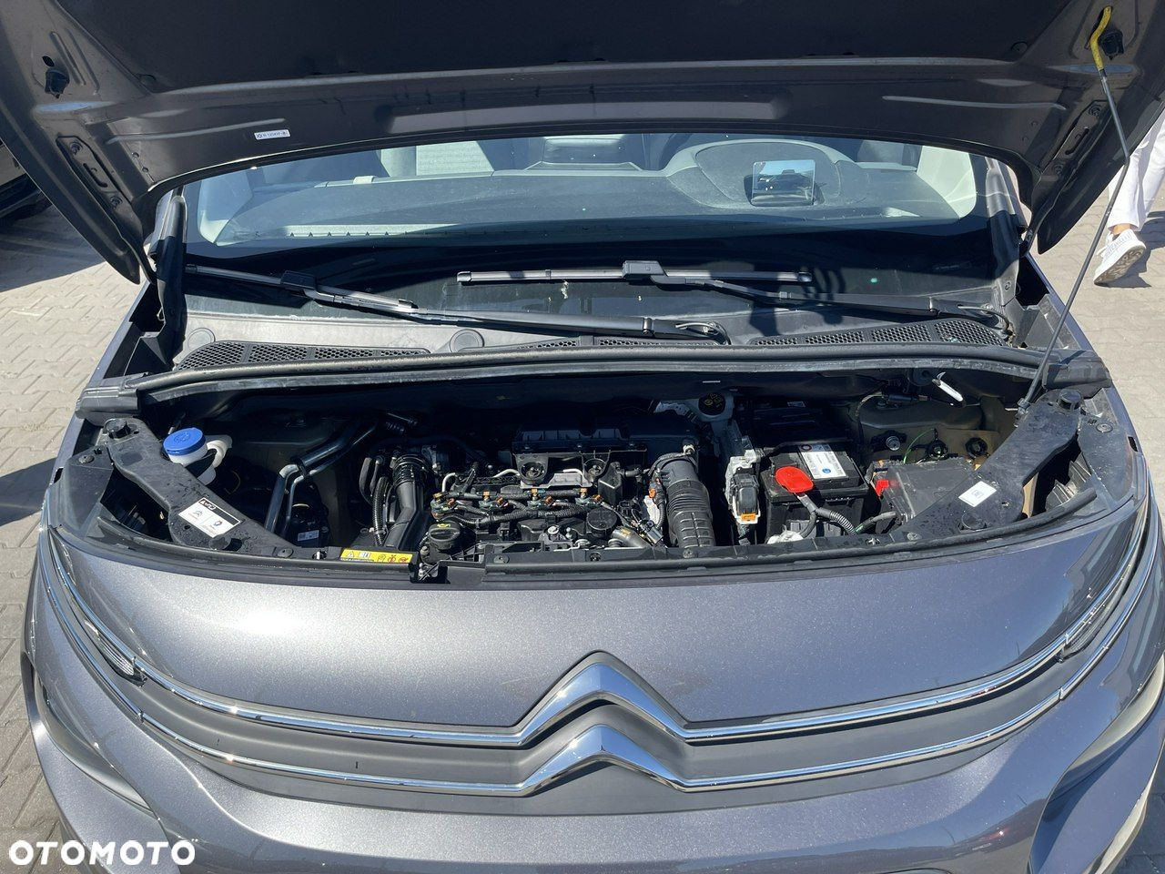 Citroën Berlingo MPV M BlueHDi 130 EAT8 PLUS - 15