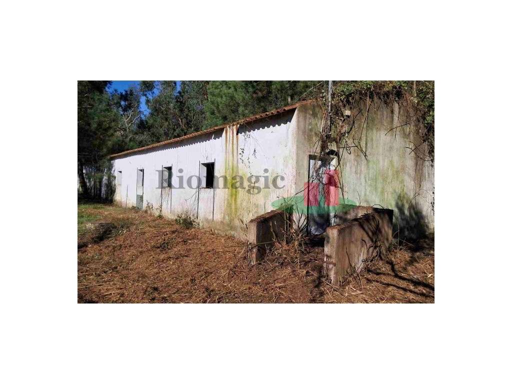 Terreno Misto Asseiceira***RIOMAGIC*** - Grande imagem: 3/10