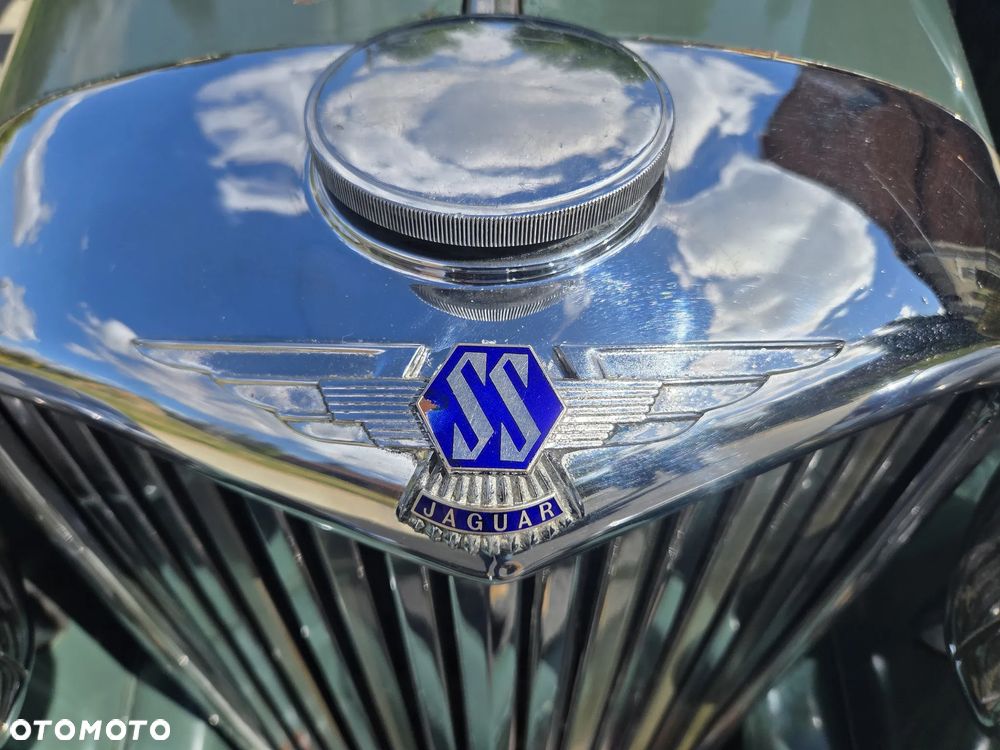 Jaguar Inny - 15