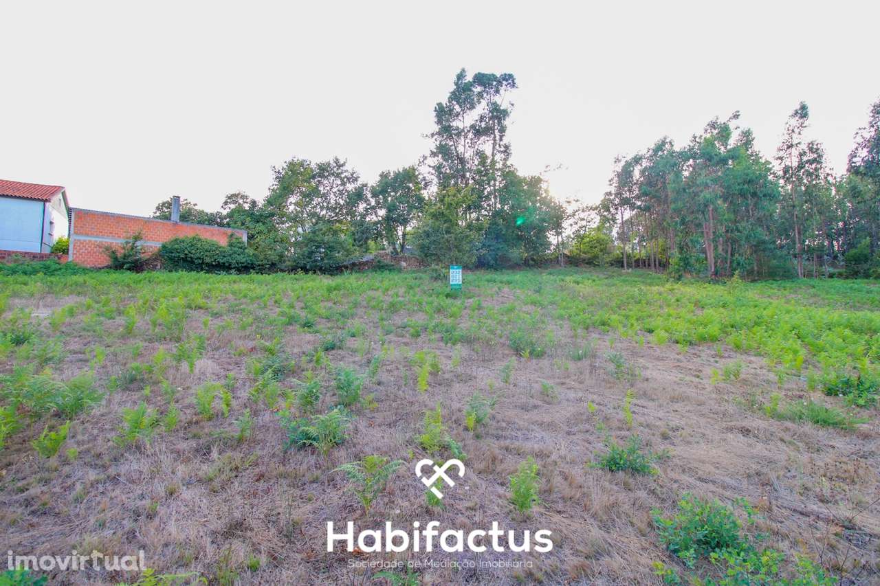 Terreno para Construção com 4720m² em Sabugosa – Ideal para Moradia Is - Grande imagem: 3/9