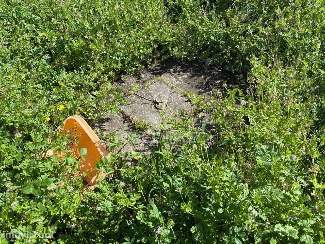 Terreno Misto com possibilidade de construção - Grande imagem: 2/6