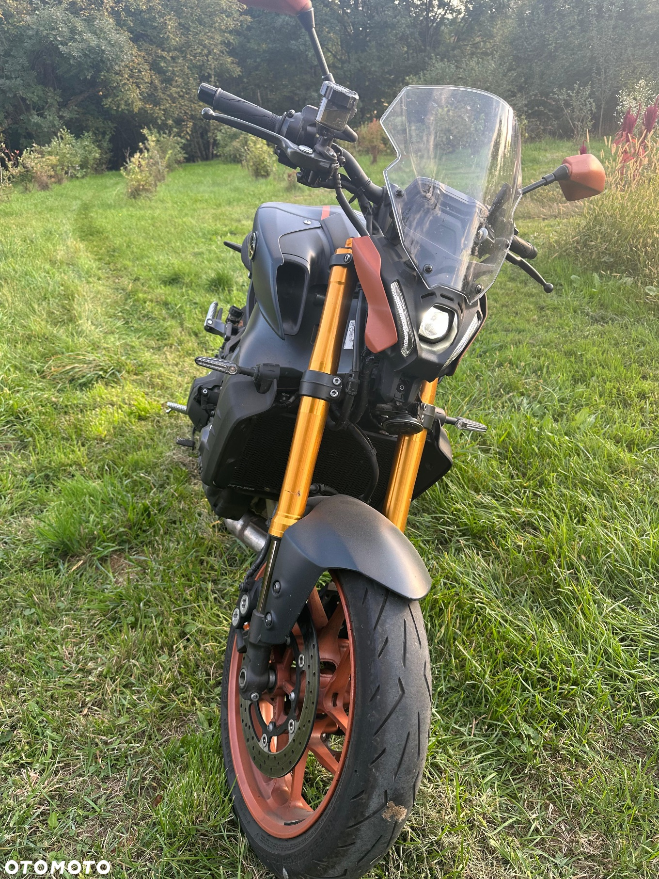 Yamaha MT - 8
