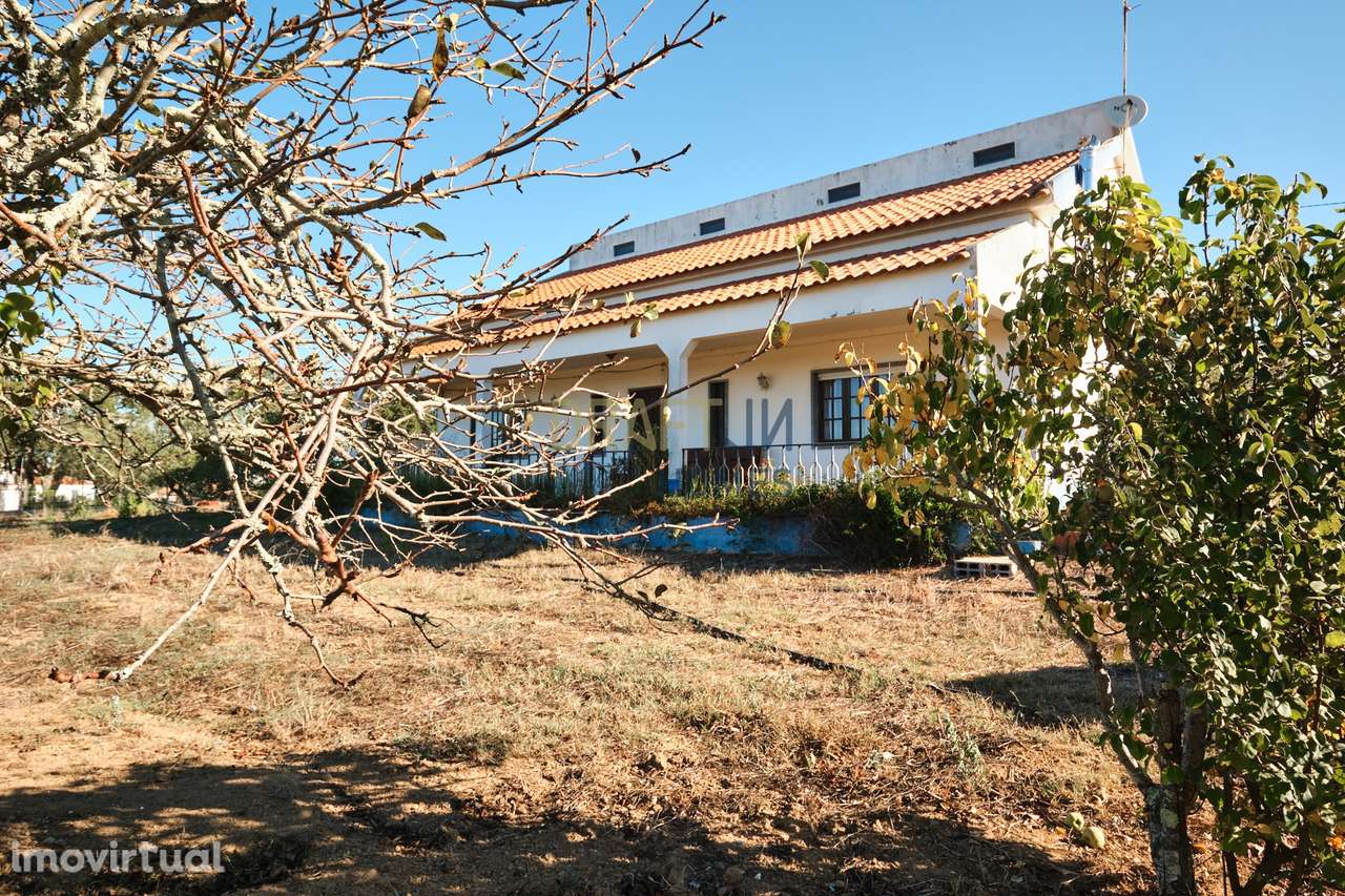 Quinta de 8 hectares em Melides - Grande imagem: 4/42