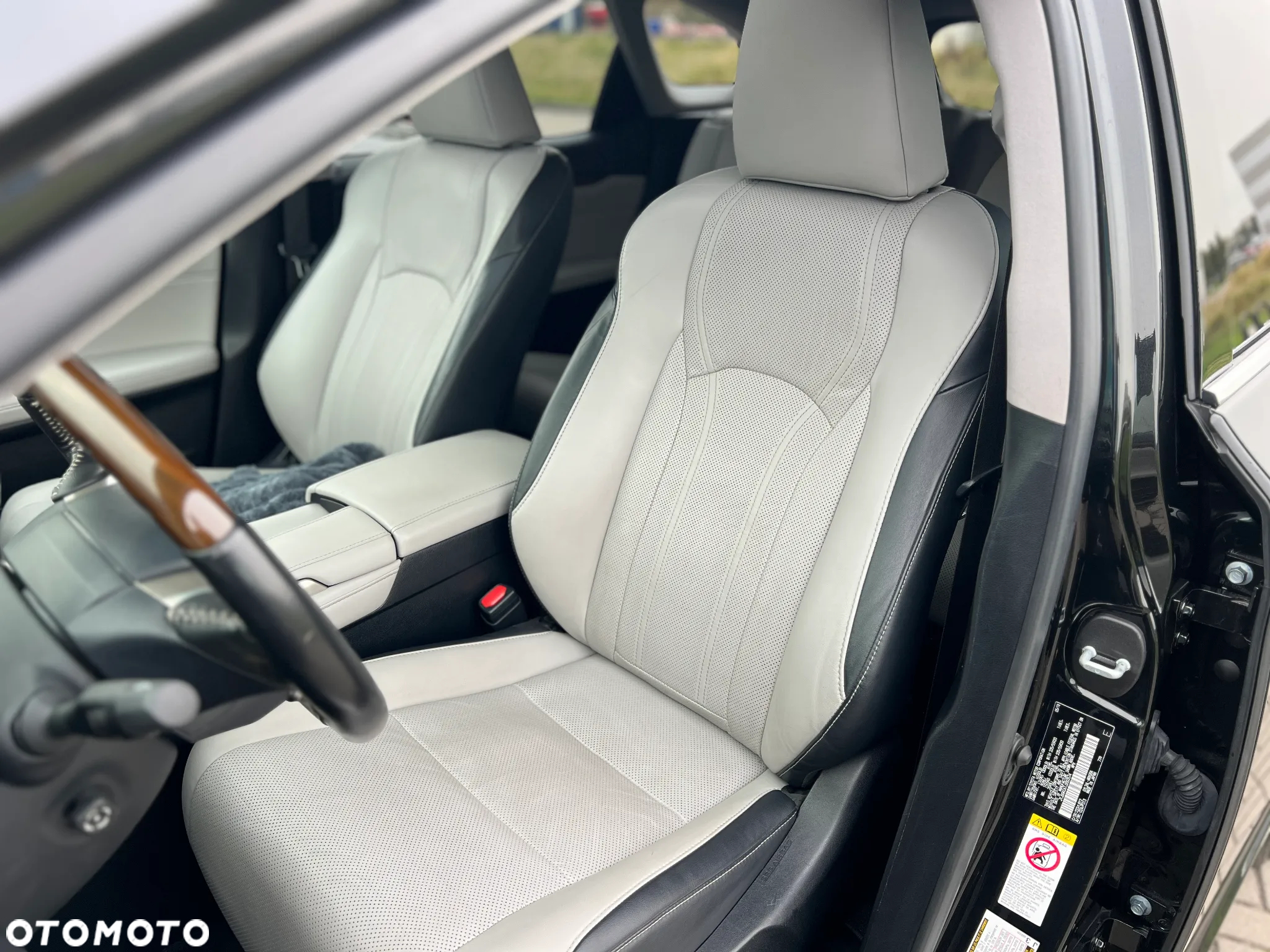 Lexus RX 350h (hybrid) Luxury Line - 9