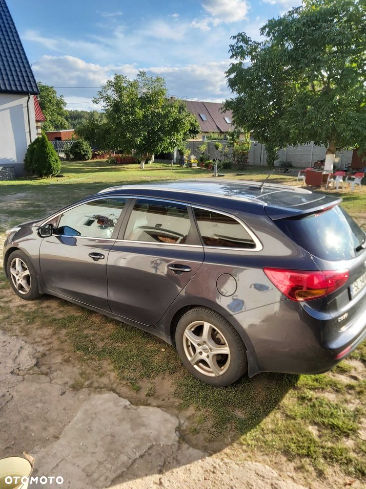 Kia Ceed - 1