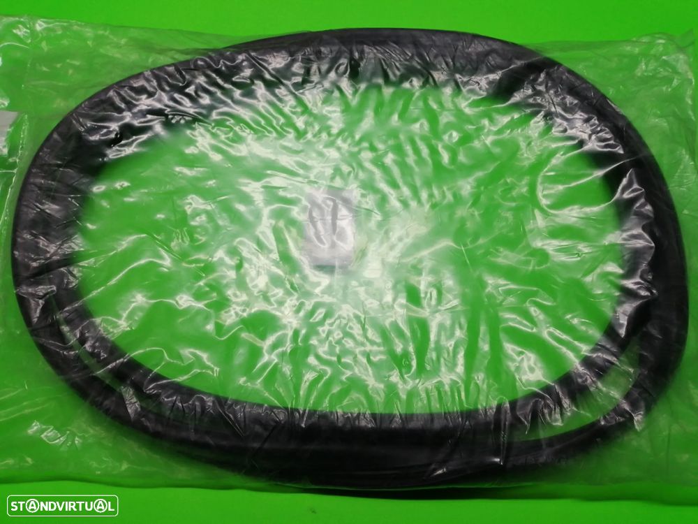 Borracha do Vidro Traseiro - Mitsubishi Canter - 1