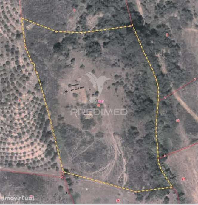 Ruina  com a pocibilidade de constroção de 2000 m2 - Grande imagem: 4/29