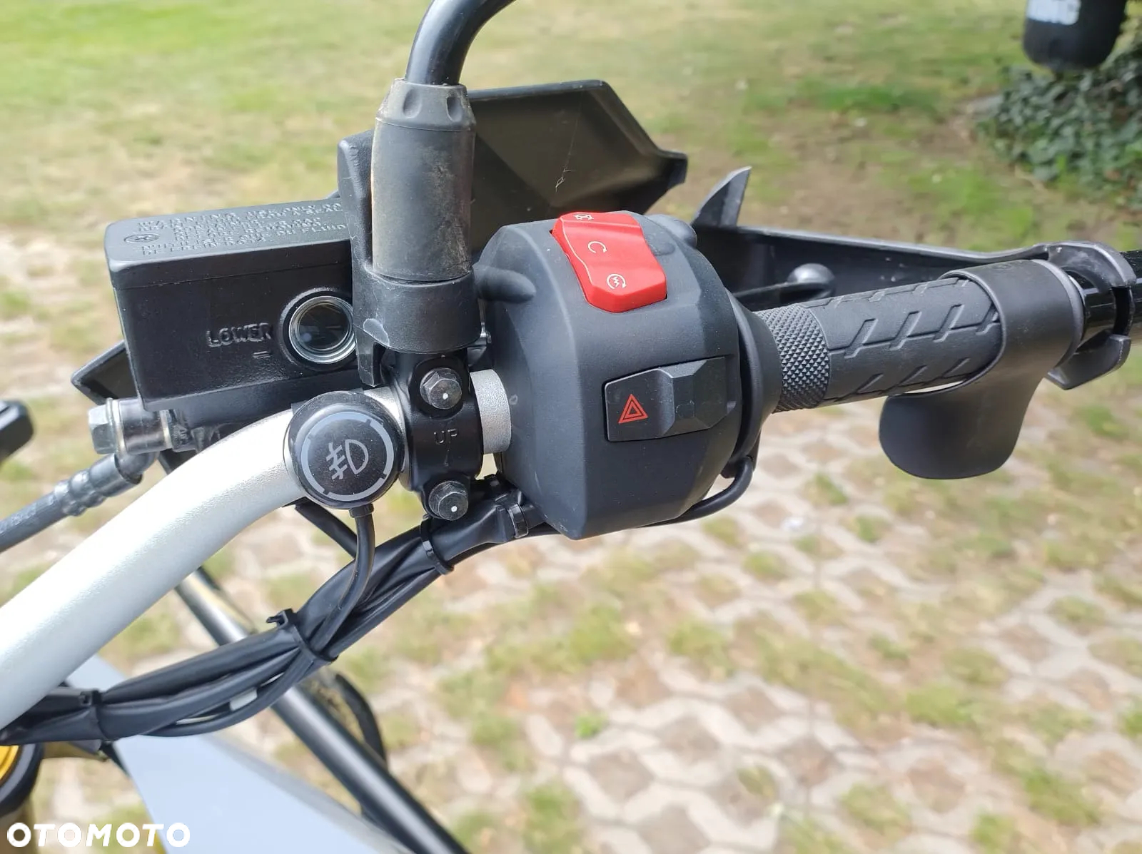 Suzuki DL - 31