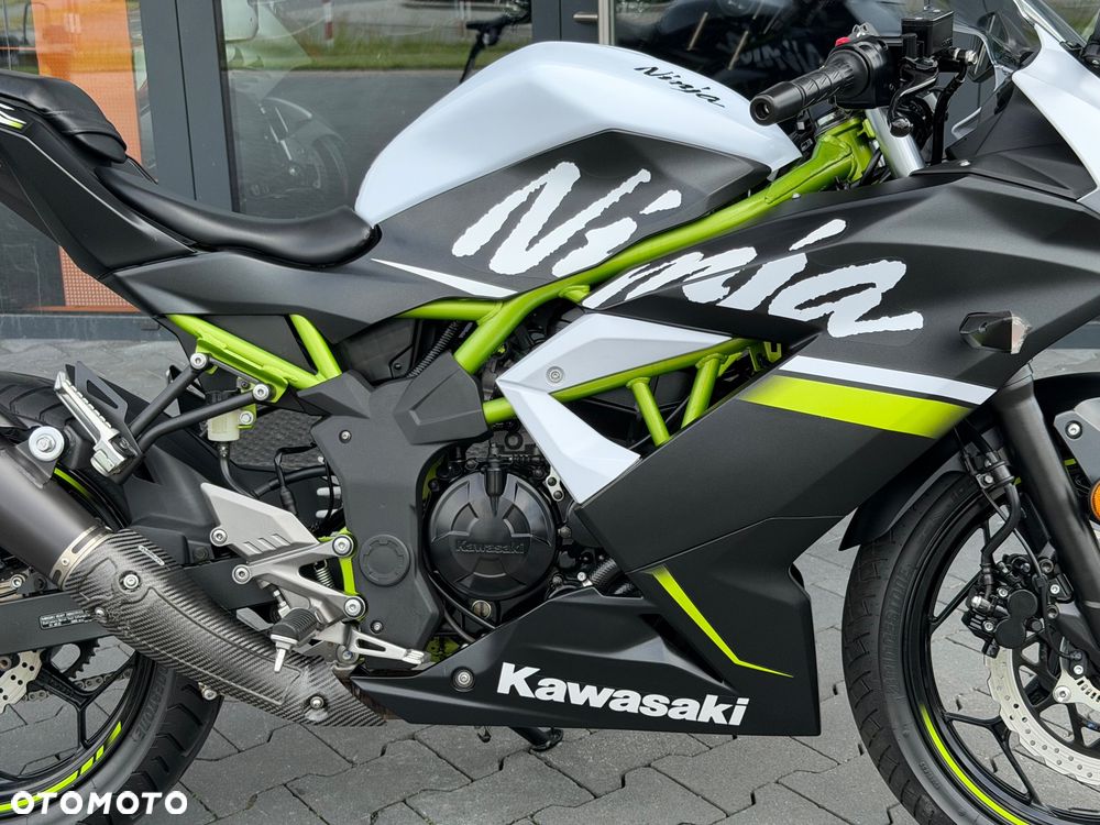 Kawasaki Ninja - 7