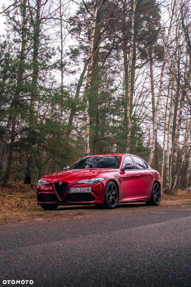 Alfa Romeo Giulia 2.9 Bi Turbo V6 Quadrifoglio - 1