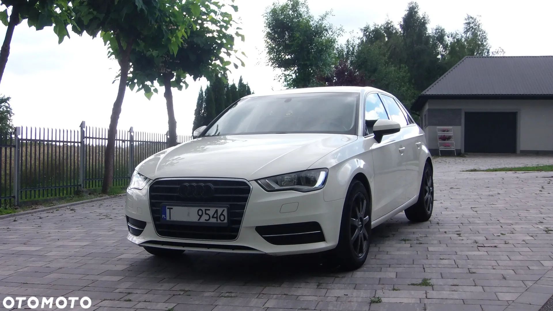 Audi A3 1.6 TDI Sportback - 1