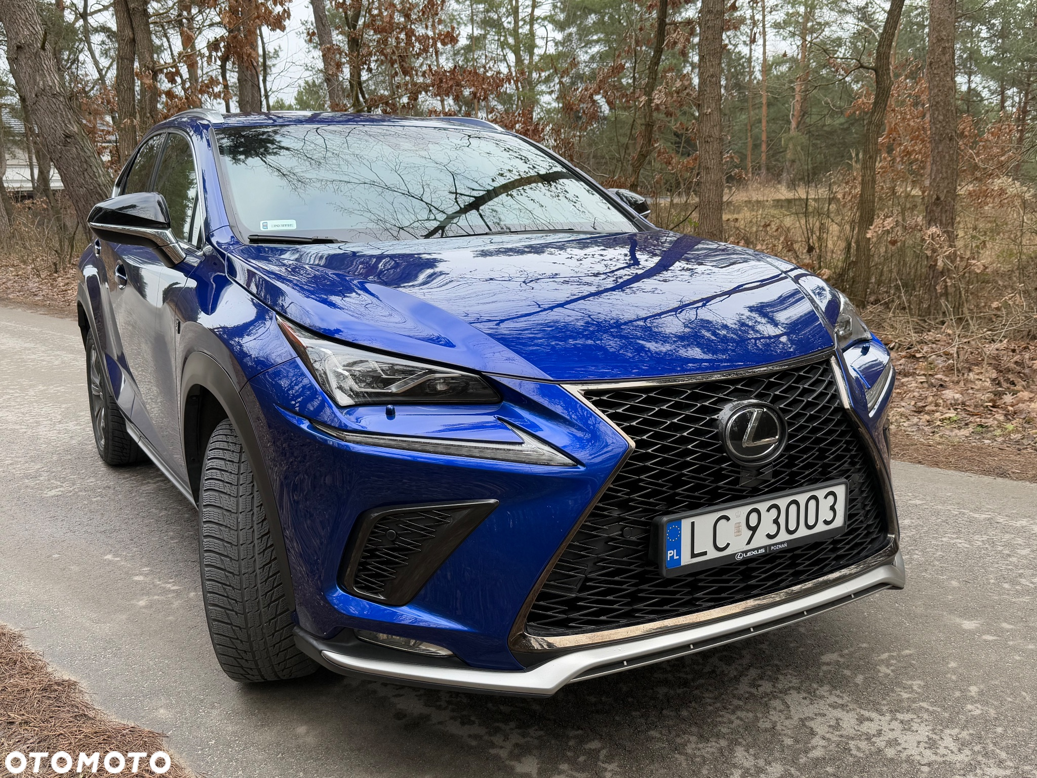 Lexus NX 300 F Sport AWD - 5