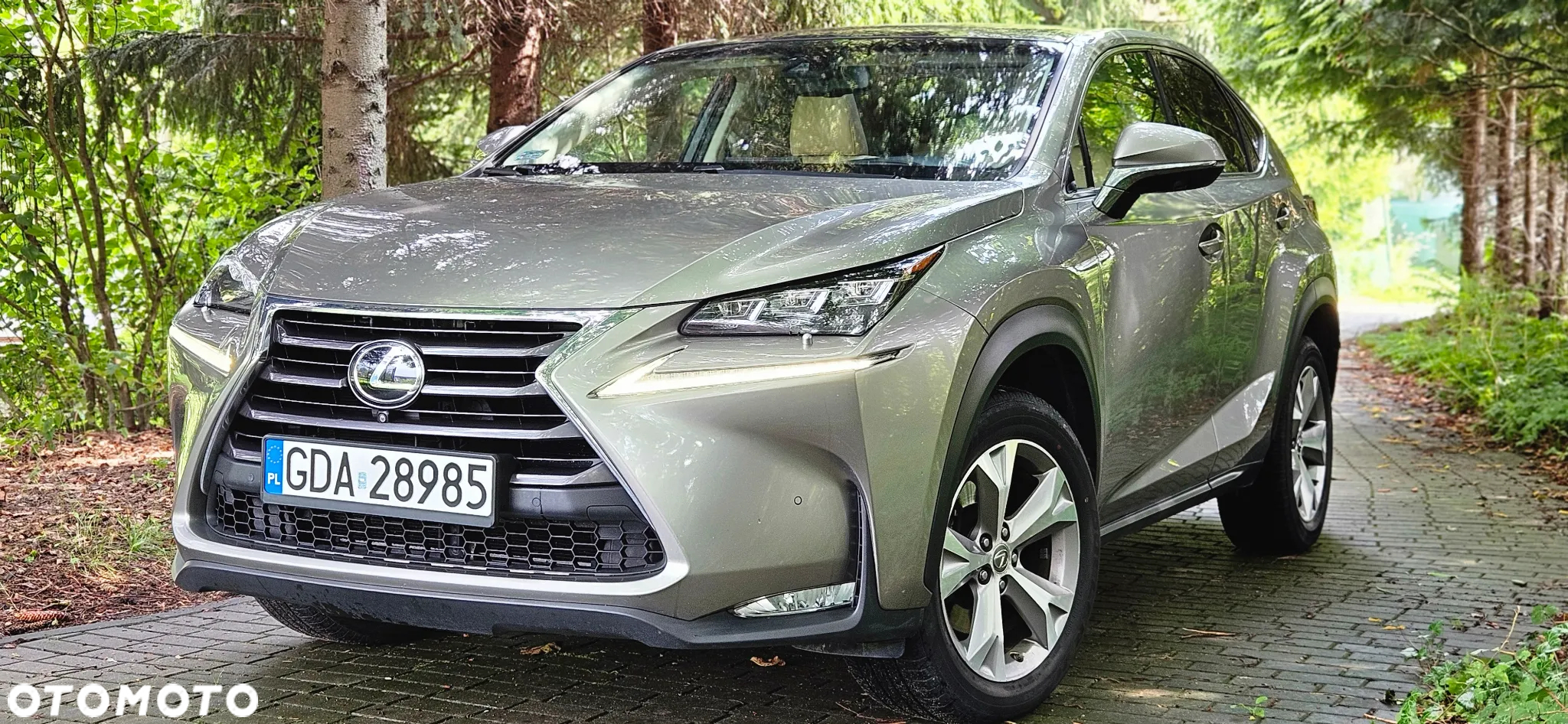 Lexus NX 200t Prestige AWD - 2