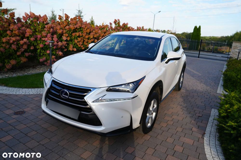 Lexus NX 300h Elite 2WD - 2