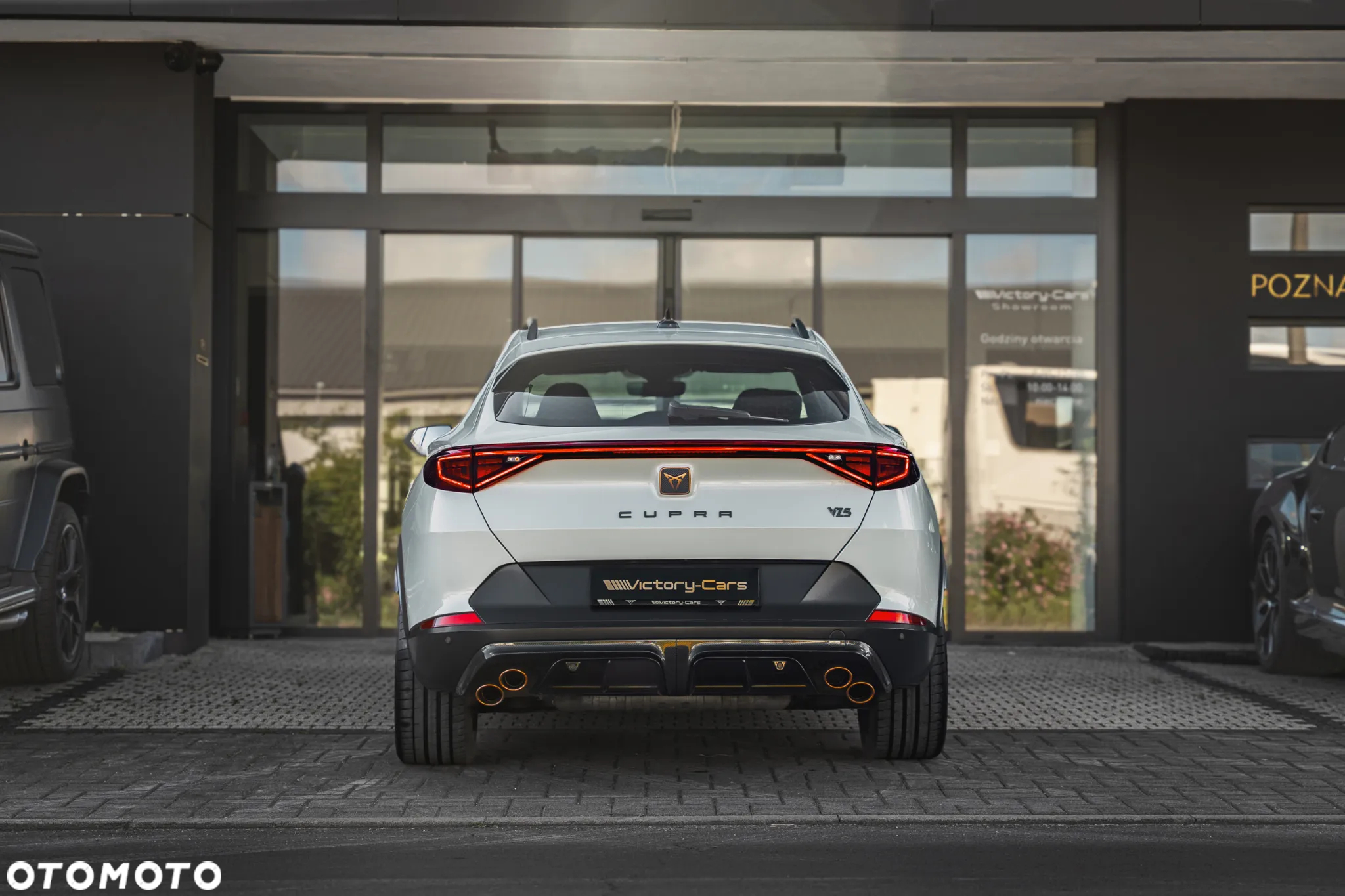 Cupra Formentor 2.5 TSI 4Drive VZ5 Taiga Grey DSG - 16