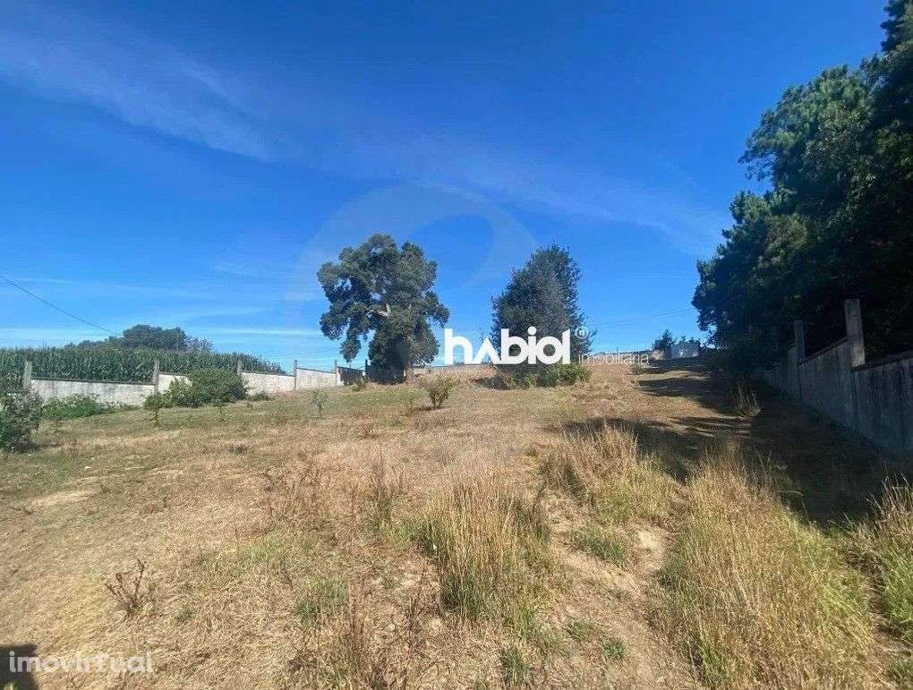 Lote para Construção de Moradia Térrea em Chorente Barcelos - Grande imagem: 4/9