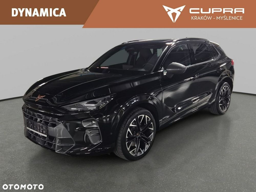 Cupra Terramar - 12