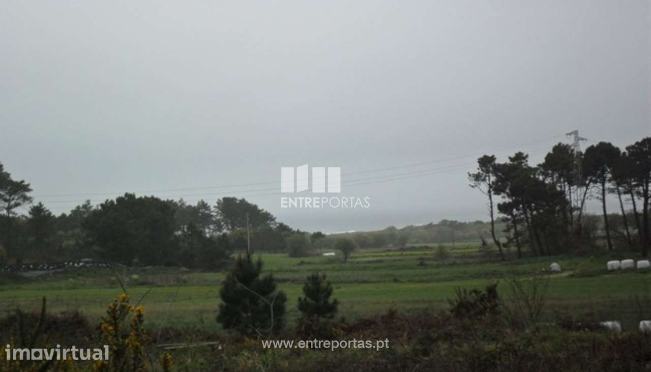 Terreno - Carreço - Grande imagem: 5/30