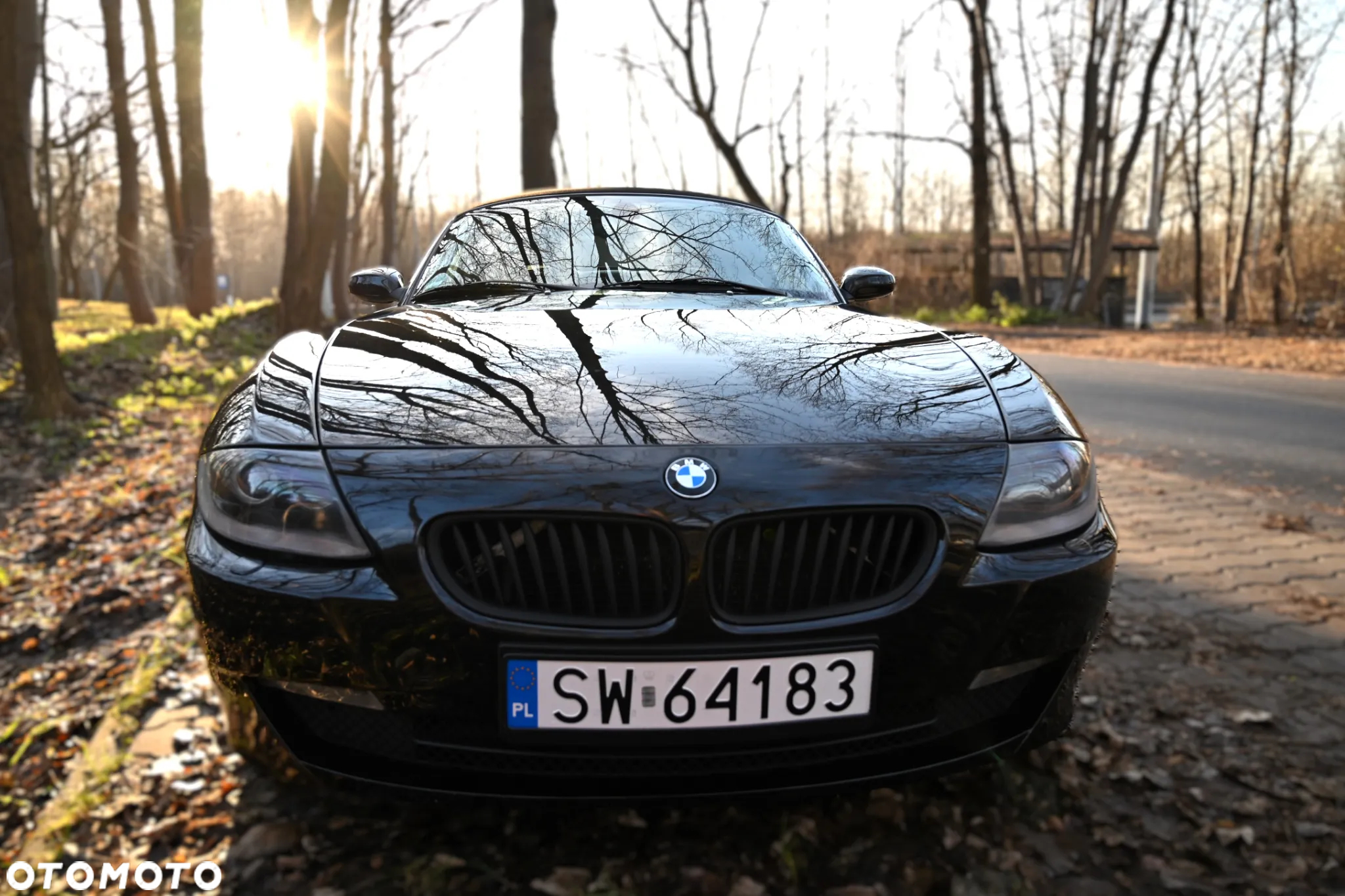BMW Z4 - 26