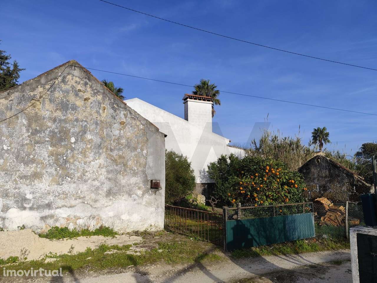Quinta para recuperar com terreno e árvores de fruto, a 1 h de Lisboa - Grande imagem: 5/13