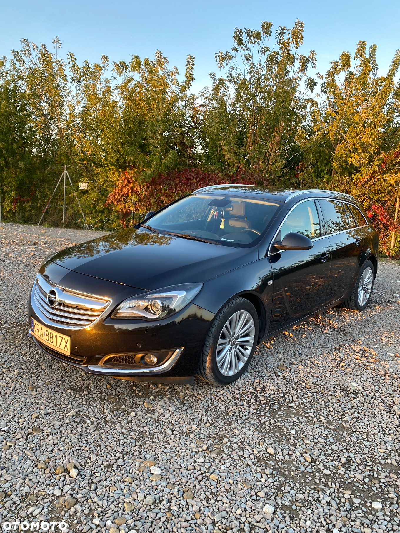 Opel Insignia - 2