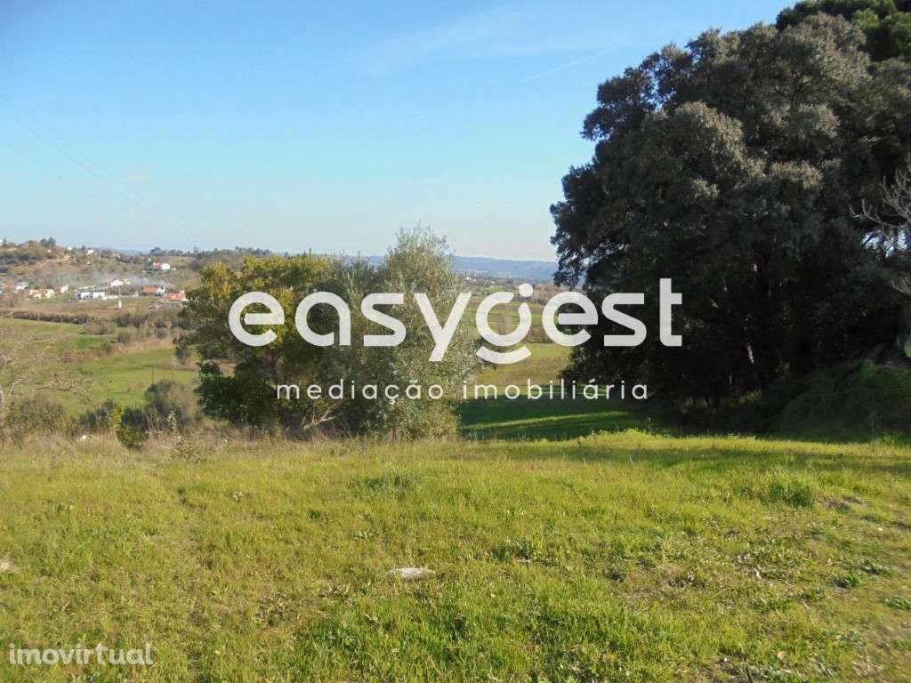 Terreno Urbano para construção em São Miguel - Tomar... - Grande imagem: 2/11