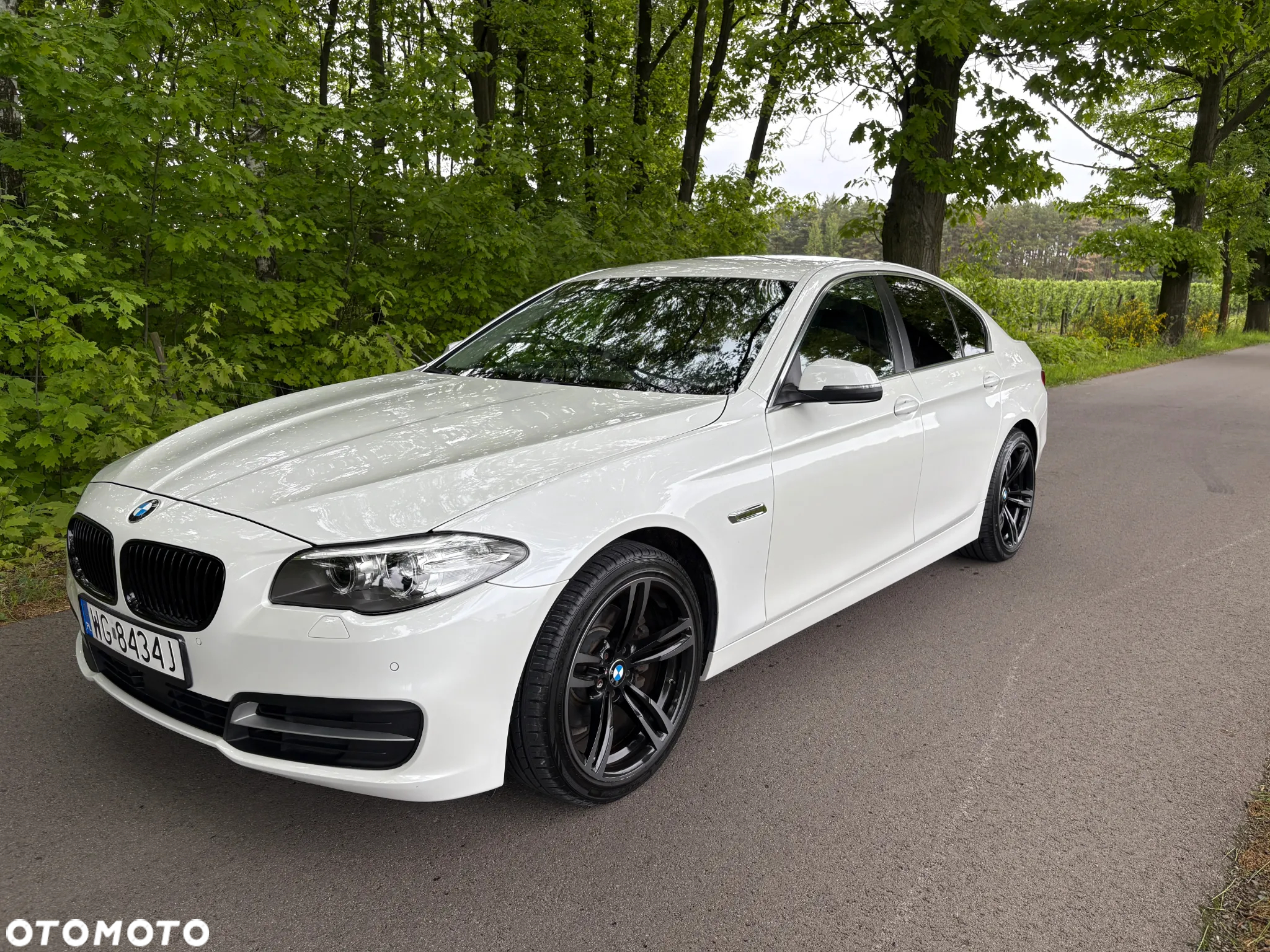 BMW Seria 5 520d - 12