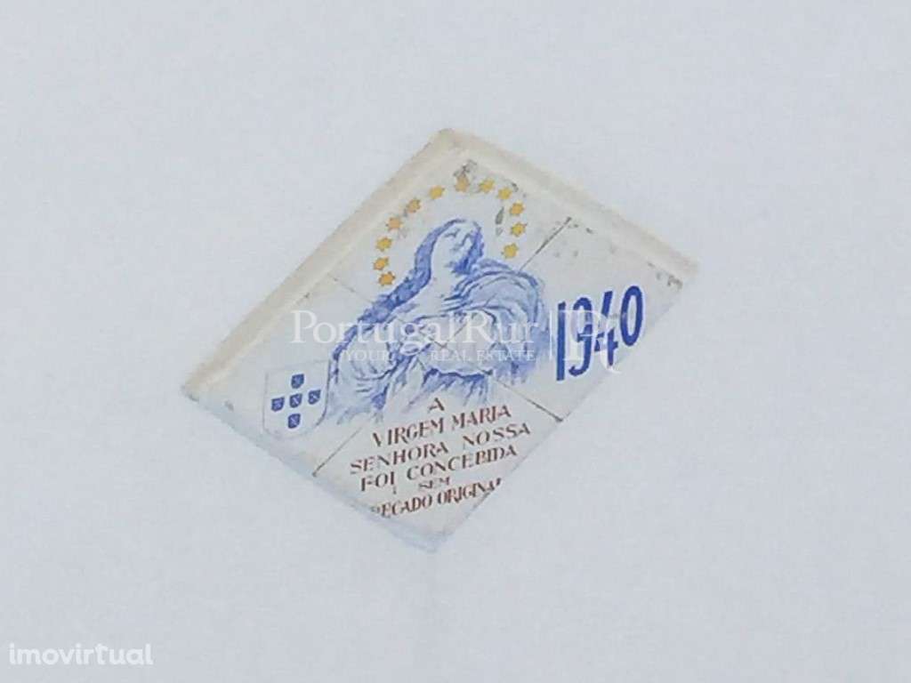 Casa Senhorial do Século XIX no Centro de Carregal do Sal - Grande imagem: 3/9