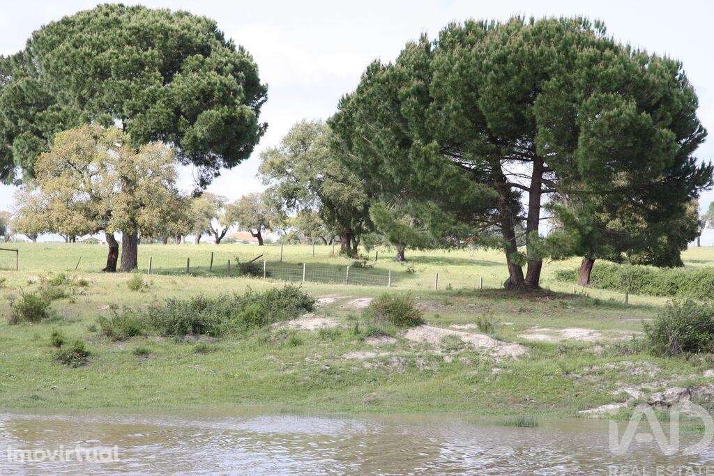 Terreno para construção T16 em Poceirão e Marateca de 20903,00 m2 - Grande imagem: 3/30