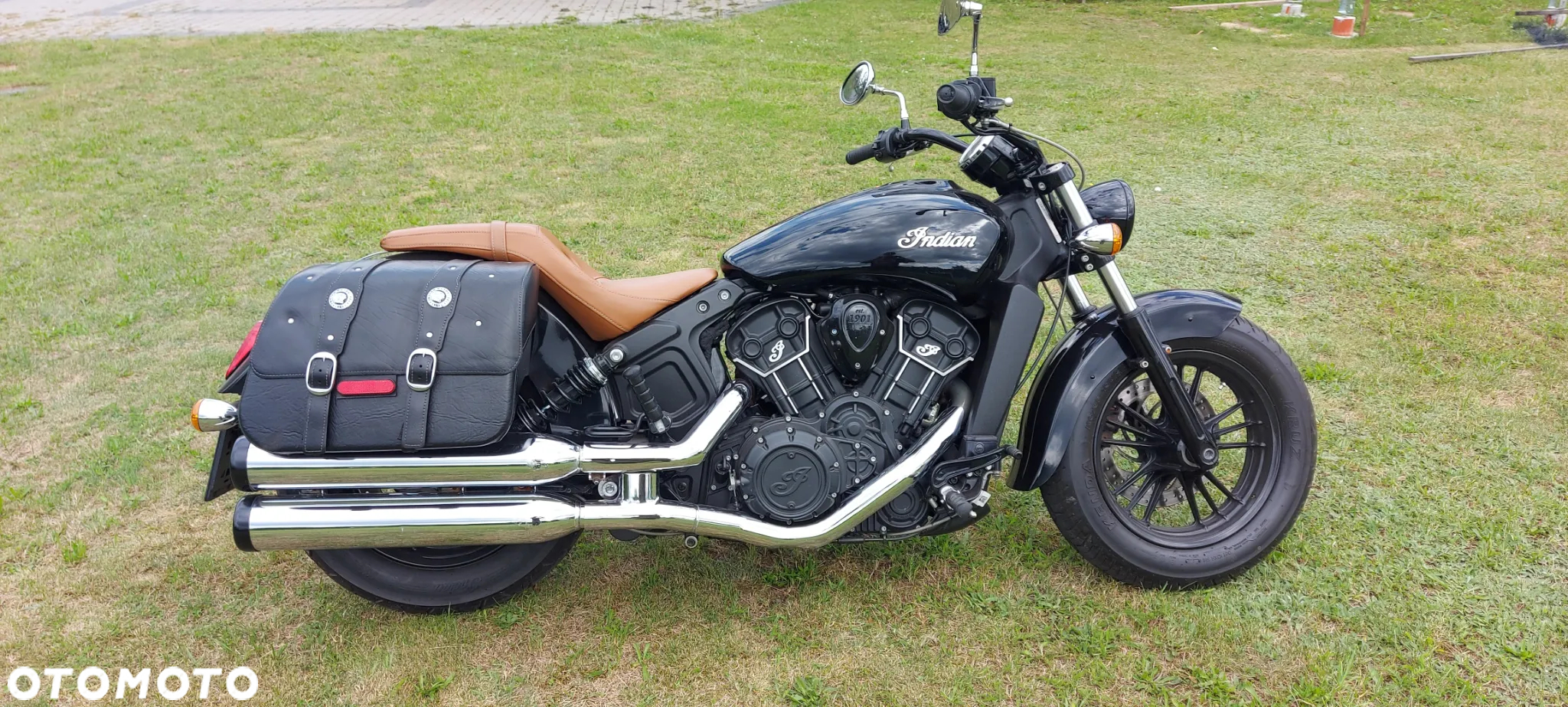 Indian Scout - 8