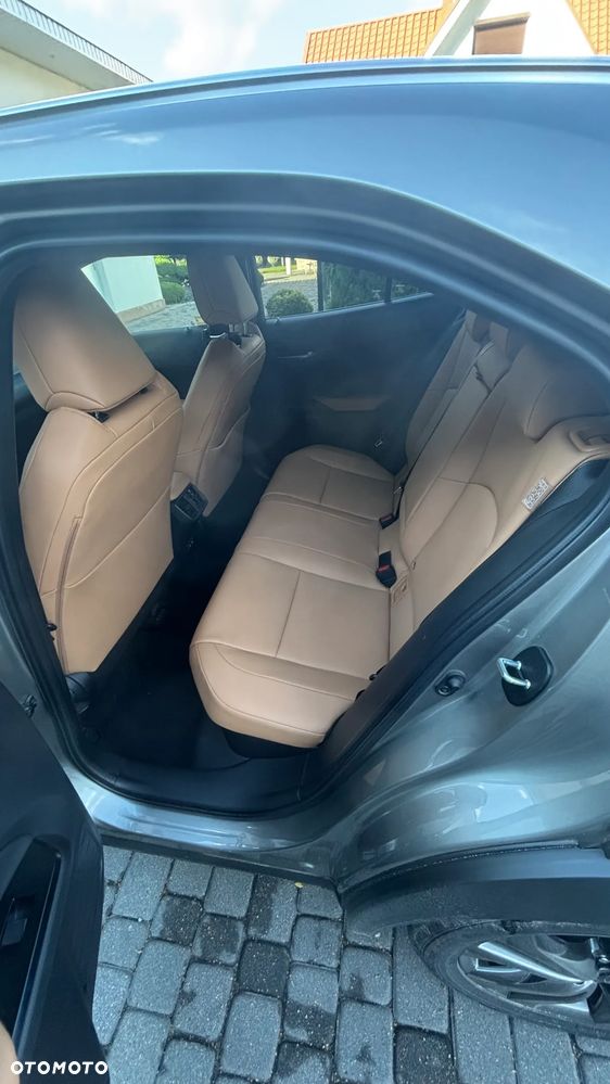 Lexus UX 250h GPF F Sport Design 2WD - 18