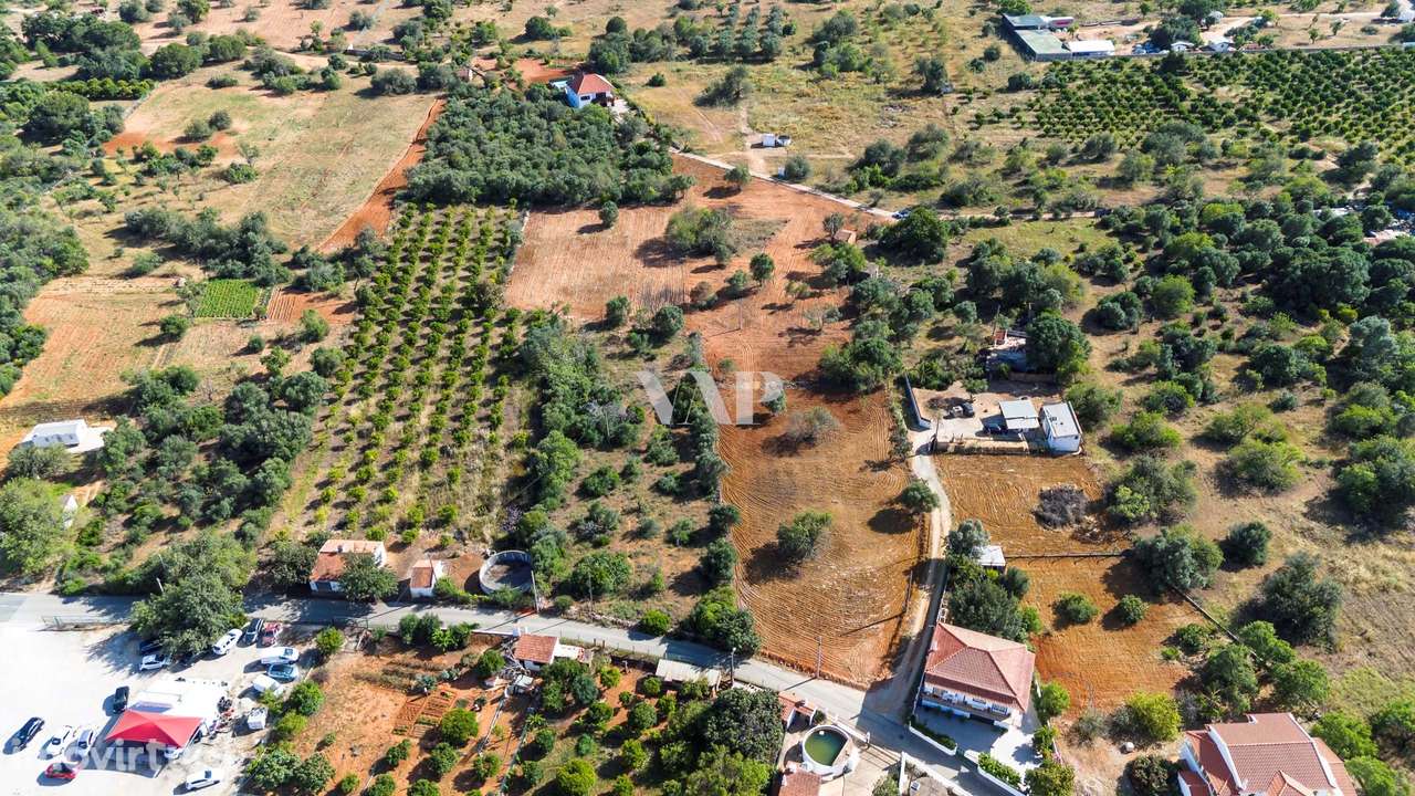 Terreno rústico para arrendamento - Grande imagem: 3/5